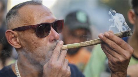 Brasil despenaliza la tenencia de marihuana para consumo .